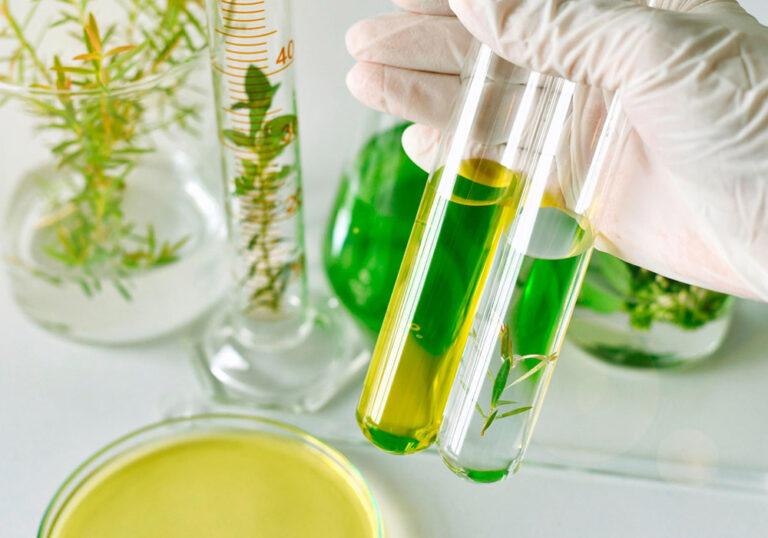 Chemistry-and-medicinal-plants-2jpg