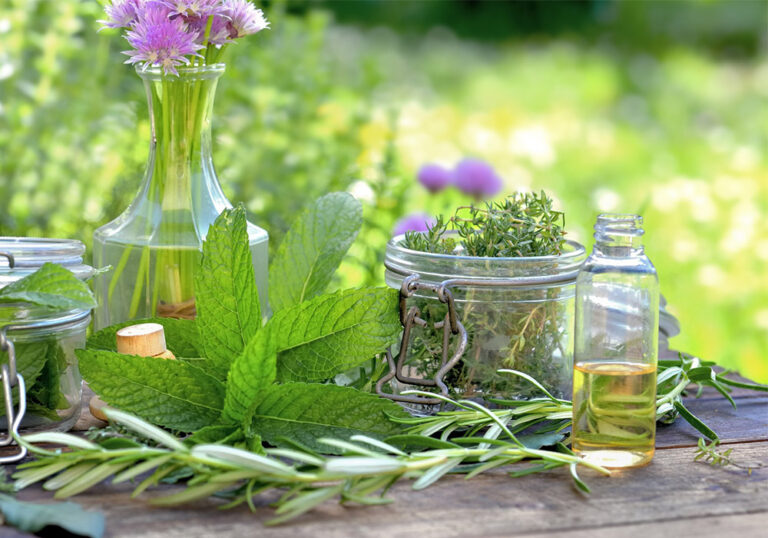 Medicinal-plants-and-agriculture-1